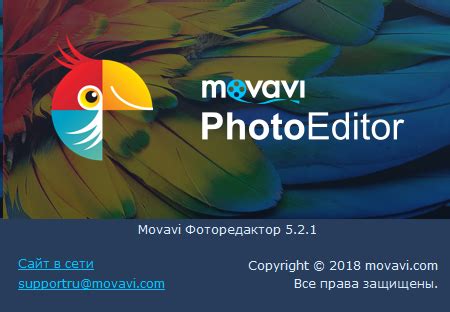Movavi Photo Editor 6.7.1 + код активации (Фоторедактор) скачать бесплатно