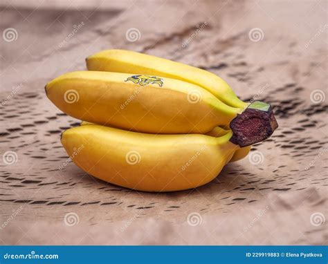 Bunch Of Mini Bananas On Craft Paper Stock Image Image Of Paper