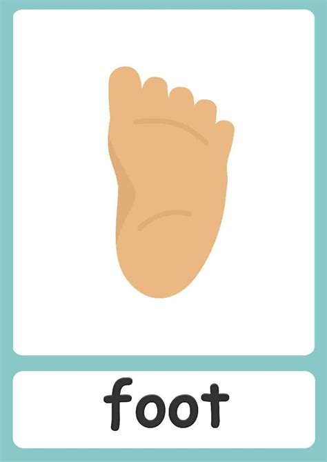 Body Parts Flashcards Body Parts Preschool Activities Body Parts