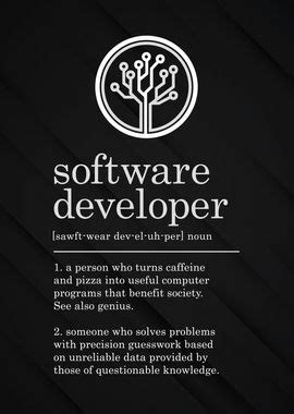 'Funny Software Developer' Poster, picture, metal print, paint by