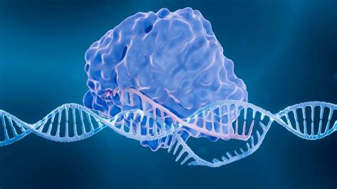 Meet Fanzor The 1st Crispr Like System Found In Complex Life Live Science