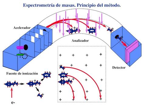 Pdf Espectrometr A De Masas Principio Del M Todo