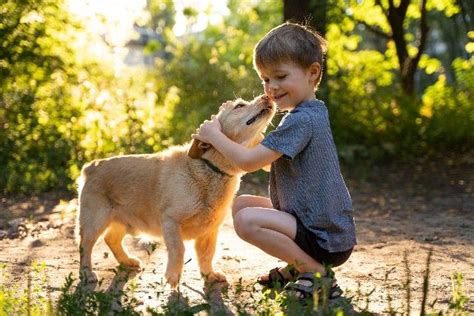 Como Adaptar Cachorro E Crian A Confira Dicas Blog Adimax