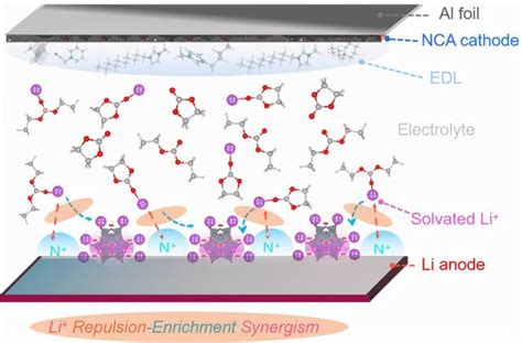 上海矽酸鹽所在鋰金屬電池雙功能電解液設計中取得重要進展 每日頭條