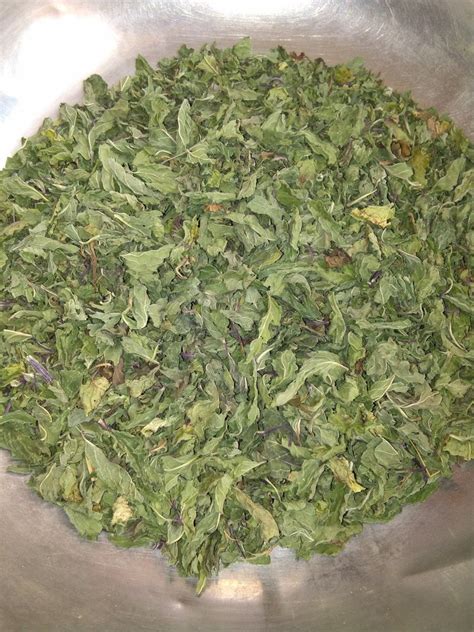 Dried Mint Leaf Packaging Type Packet At Rs 150 Kg In Merta City ID