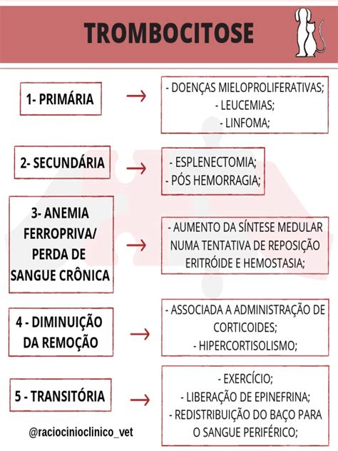 O Que É Trombocitose - trombocitose-fluxograma | PDF