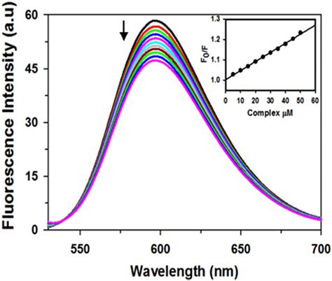 Fluorescence Emission Spectra Of Ethidium Bromide M Bound To Calf