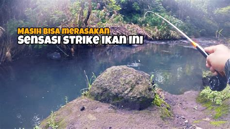 Mancing Santai Di Spot Lama Dapat Tarikan Ikan Ini Micro Fishing