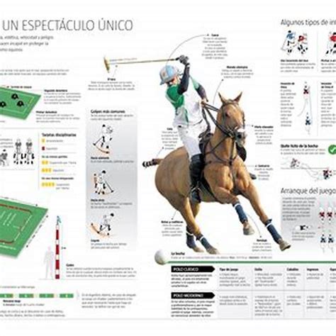 What are the rules of polo? - DIY Seattle