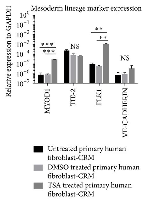 Trichostatin A Tsa Treatment Of Primary Adult Fibroblasts Induces