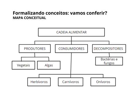 Plano De Aula 4º Ano Seres Vivos Elos De Uma Corrente Na Cadeia