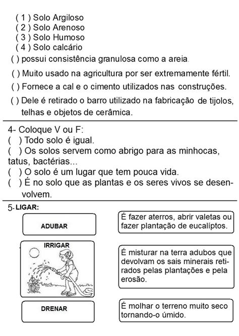 Prova De Ciências 3 Ano Fundamental Para Imprimir - PROVA DE CIÊNCIAS 3° ANO - ENSINO FUNDAMENTAL Prova de Ciências 3° ano ...