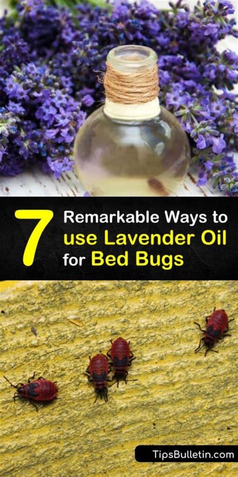 7 Remarkable Ways to use Lavender Oil for Bed Bugs