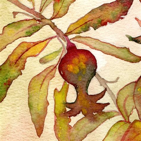 Pomegranate Painting Original Art Red Fruit Watercolor Wall Inspire