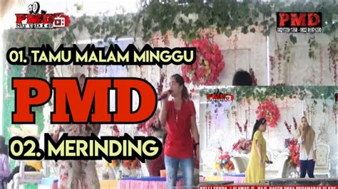 Ot Pmd Dangdut Tamu Malam Minggu Merinding Original No