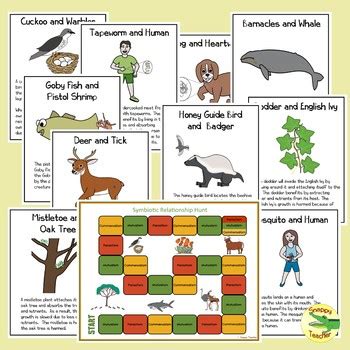 Symbiotic Relationships Sorting Cards Game And Posters By Snappy Teacher