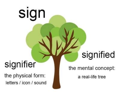 Critical Social Psychology Flashcards Quizlet