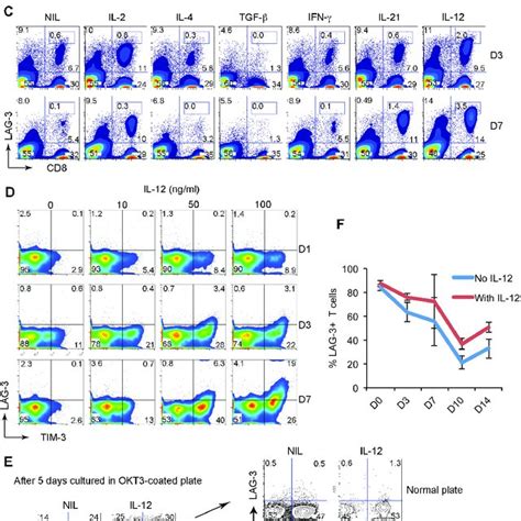 Correlation Of LAG 3 Expressing Cells With Clinical Survival In FL