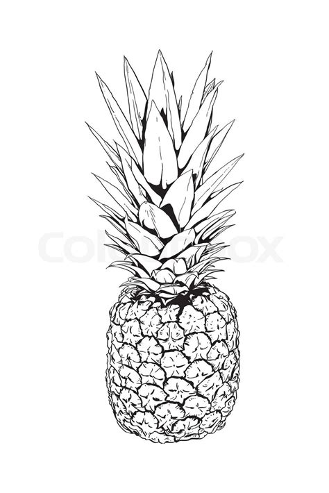 Pineapple Black And White Clipart