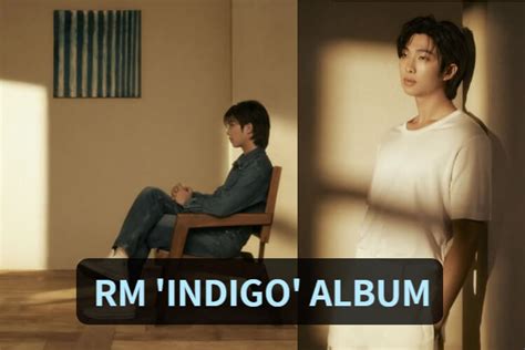 Rm Releases His First Solo Album Indigo Successfully Kpop Gr