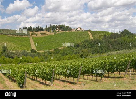 Chianti Wine Region Hi Res Stock Photography And Images Alamy