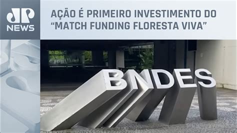 BNDES e Petrobras lançam edital para apoiar recuperação de manguezais