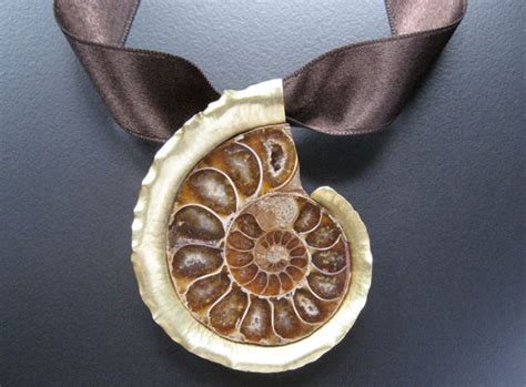 Ammonite Pinpendant Alexandra Hart Jewelry