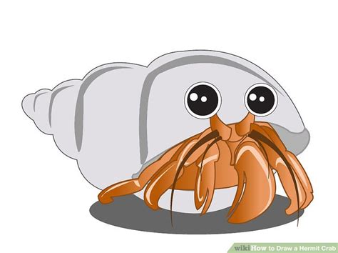 How to Draw a Hermit Crab: 8 Steps (with Pictures) - wikiHow