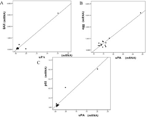 Figure 2 From The UPA UPAR Pathway In The Human Heart Semantic Scholar