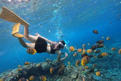 Nusa Lembongan And Penida Snorkeling With Lunch And Kayaking 2024 Kuta