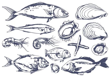 Hand Drawn Ocean Fish Vintage Style Mackerel Shrimps And Clams Seastar