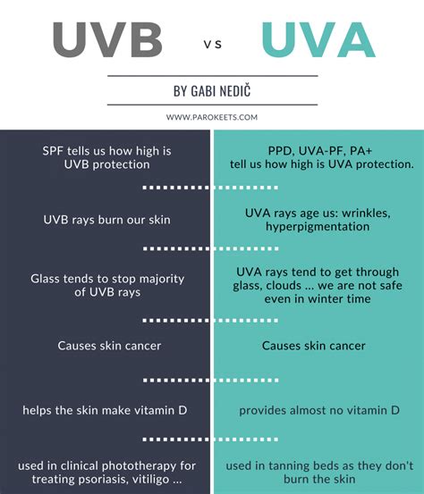 Basics Of Sun Protection Top 8 Uva Sunscreens Parokeets