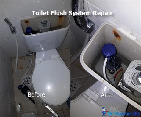 Toilet Flush System / Toilet Flush Tank Installation, Replacement & Repair - Mr Plumber ...