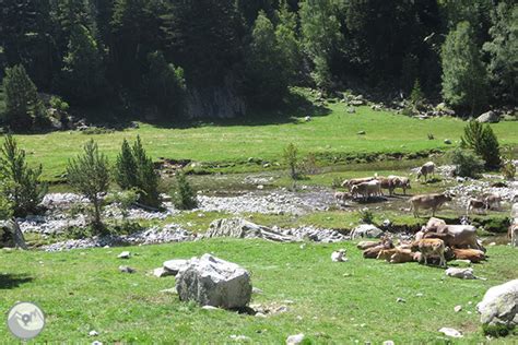 Planell de Aigüestortes y Estany de la Llebreta RUTAS PIRINEOS