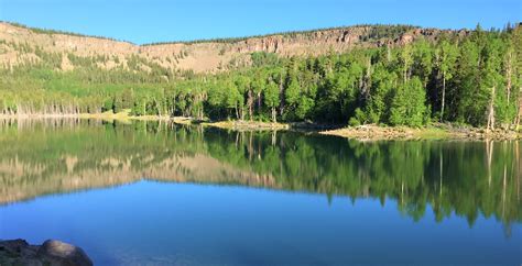 Fish Utah -- Division of Wildlife Resources