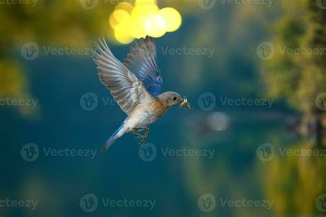 beautiful scenery  spring season  stock photo  vecteezy