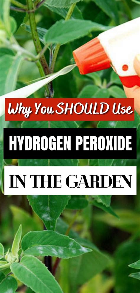 Important Reasons To Use Hydrogen Peroxide In The Garden