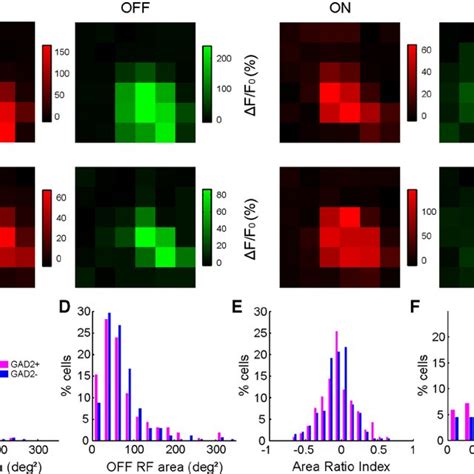 Comparing Direction Selectivity In Excitatory And Inhibitory SSGS