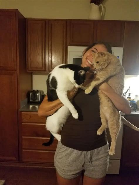 A Girl And Her Ginger Pussy And Mixed Pussy Extremely Happy Scrolller