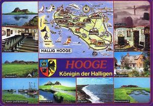 Postcard Hooge K Nigin Der Halligen Germany Federal Republic