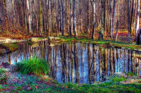 Autumn Pond Reflections Photograph By Andy Lawless