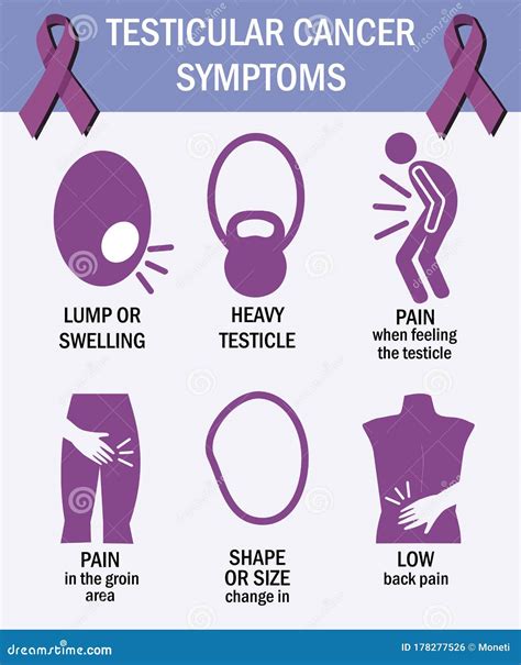 Testicular Cancer Symptoms. Infographics. Pictogram Icons. Testicular