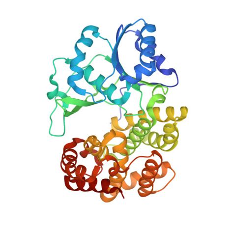 Rcsb Pdb 6c7l Structure Of Iron Containing Alcohol Dehydrogenase From Thermococcus