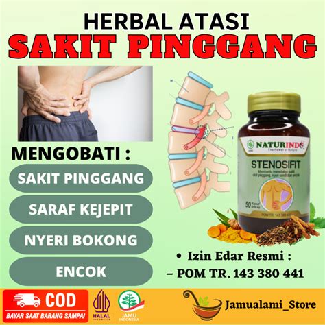 Jual Obat Sakit Pinggang Saraf Kejepit Dan Encok Herbal Shopee Indonesia