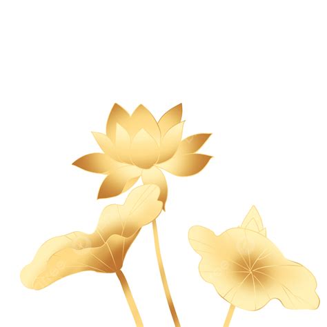 Golden Lotus Lotus Leaf Golden Lotus Flowers PNG Transparent Clipart