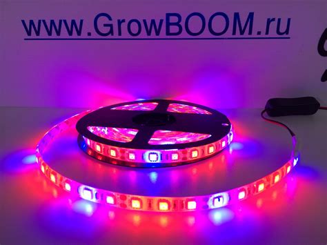 Светодиодная лента для растений SMD5050 IP65 с адаптером 5 м