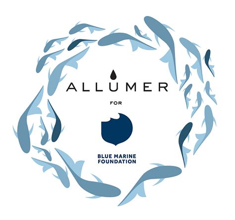 Allumer x Blue Marine Foundation - Blue Marine Foundation