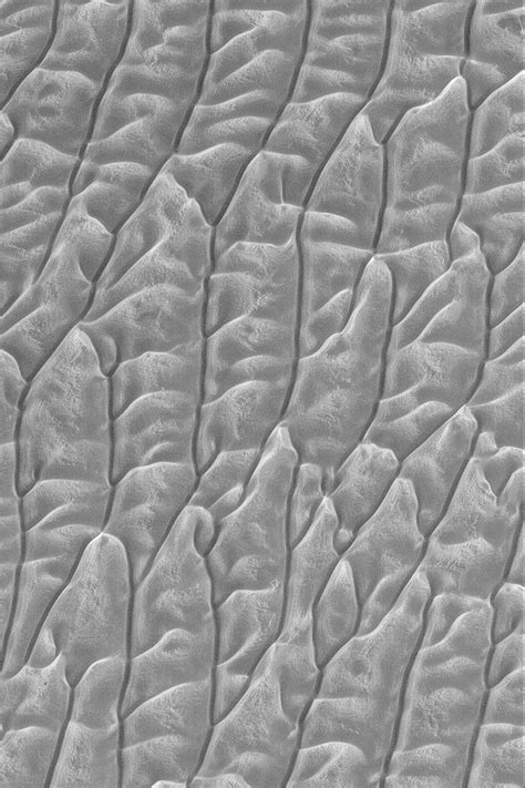 Nasa Mars Picture Of The Day Frosty Dune Field Spaceref