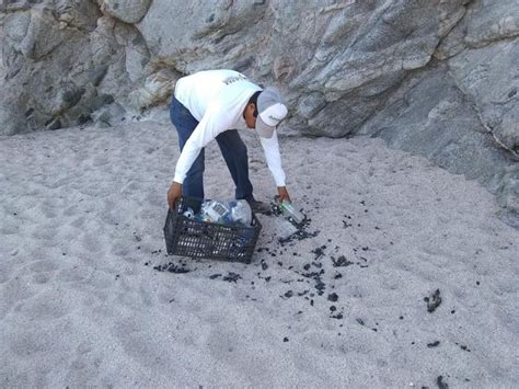 Recolectan Hasta Toneladas De Basura En Reapertura De Playas