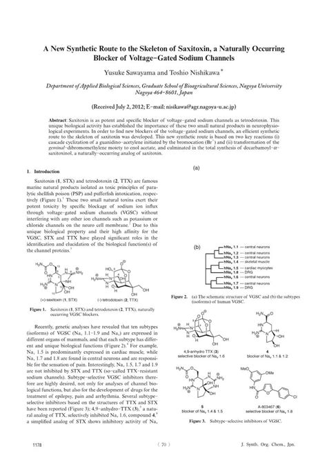 A New Synthetic Route To The Skeleton Of Saxitoxin A Naturally